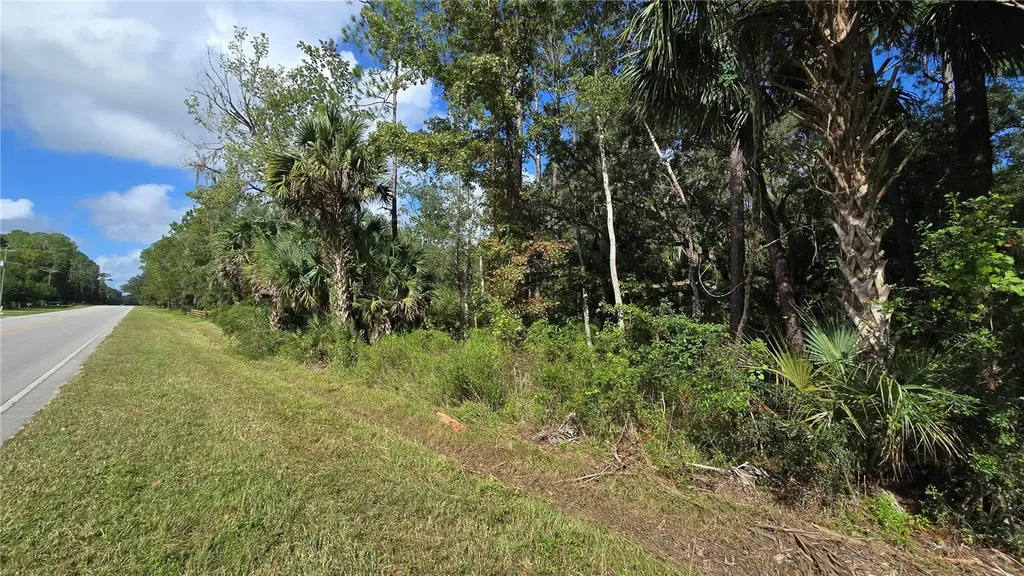 E Highway 316 Fort Mc Coy FL 32134