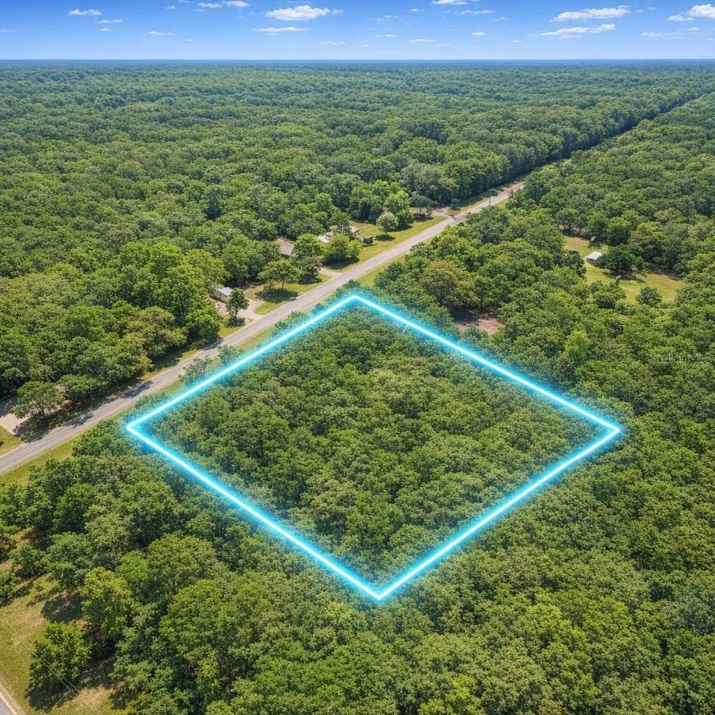 00 E Highway 316 Fort Mc Coy FL 32134