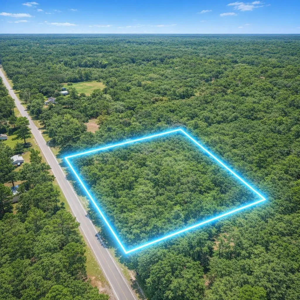 00 E Highway 316 Fort Mc Coy FL 32134