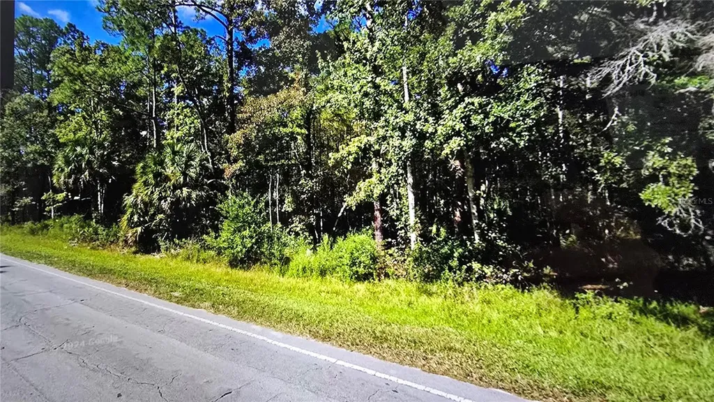 E Highway 316 Fort Mc Coy FL 32134