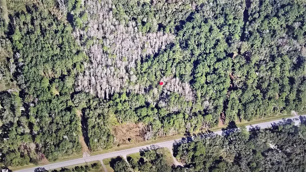 E Highway 316 Fort Mc Coy FL 32134