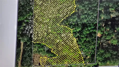 E Highway 316 Fort Mc Coy FL 32134