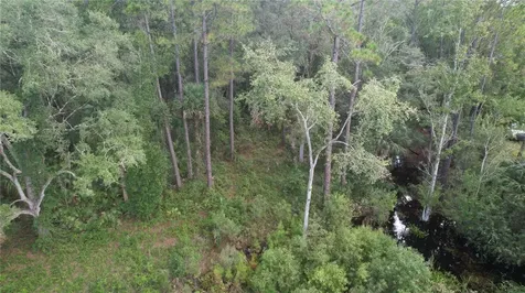 E Highway 316 Fort Mc Coy FL 32134