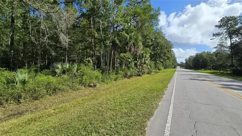 E Highway 316 Fort Mc Coy FL 32134