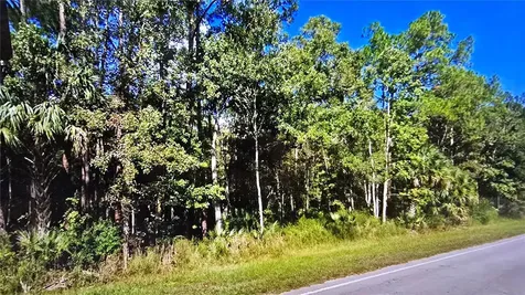 E Highway 316 Fort Mc Coy FL 32134