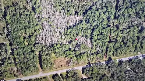 E Highway 316 Fort Mc Coy FL 32134