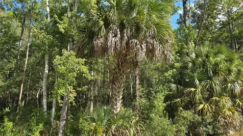 E Highway 316 Fort Mc Coy FL 32134
