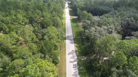 E Highway 316 Fort Mc Coy FL 32134