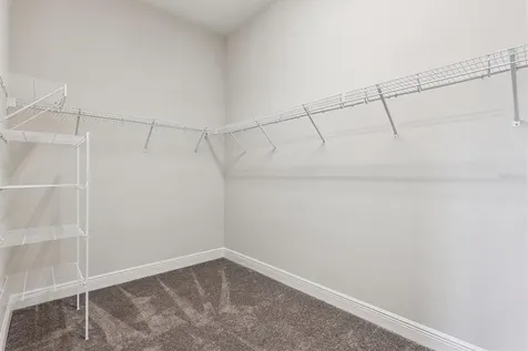 10303 Surrey Rose Drive San Antonio FL 33576