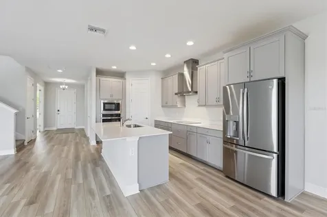 9711 Surrey Rose Drive San Antonio FL 33576