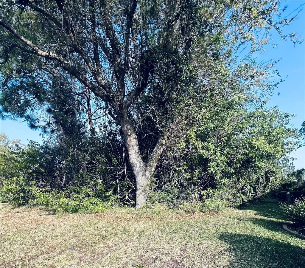 91 Emerald Lake Drive Palm Coast FL 32137