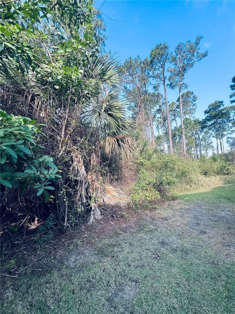 91 Emerald Lake Drive Palm Coast FL 32137