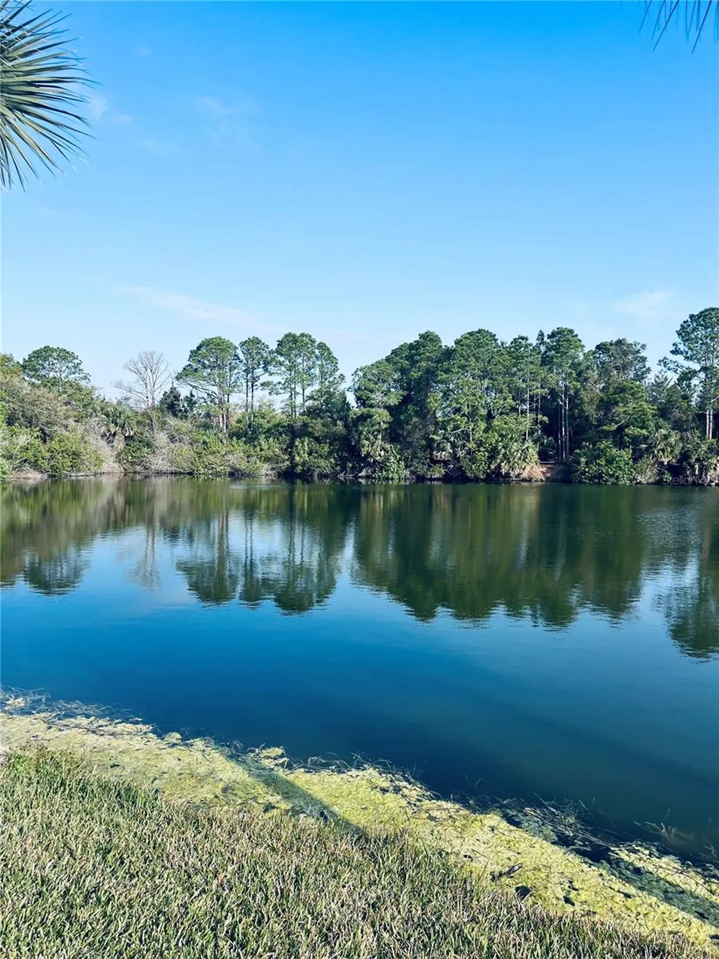 91 Emerald Lake Drive Palm Coast FL 32137