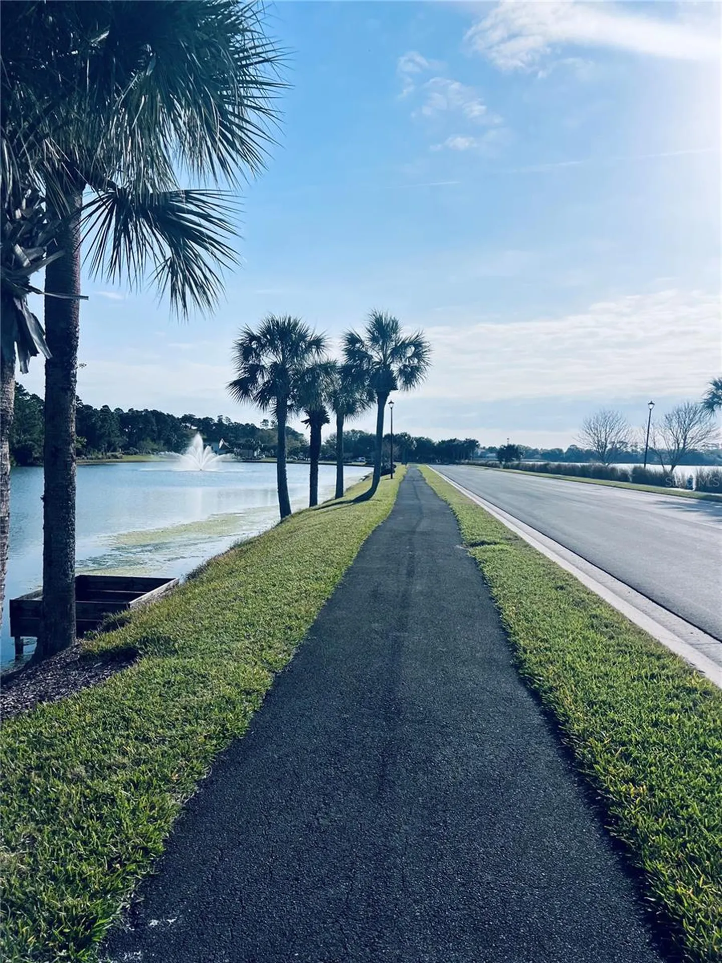 91 Emerald Lake Drive Palm Coast FL 32137