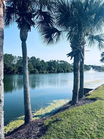 91 Emerald Lake Drive Palm Coast FL 32137