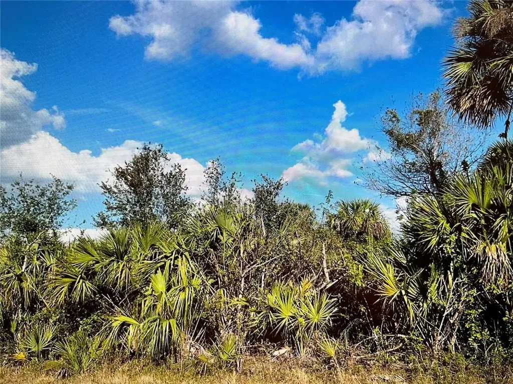 347 Lawler Street Port Charlotte FL 33954