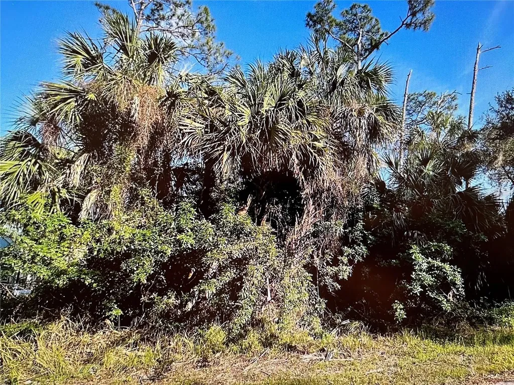 219 Swift Street Port Charlotte FL 33954