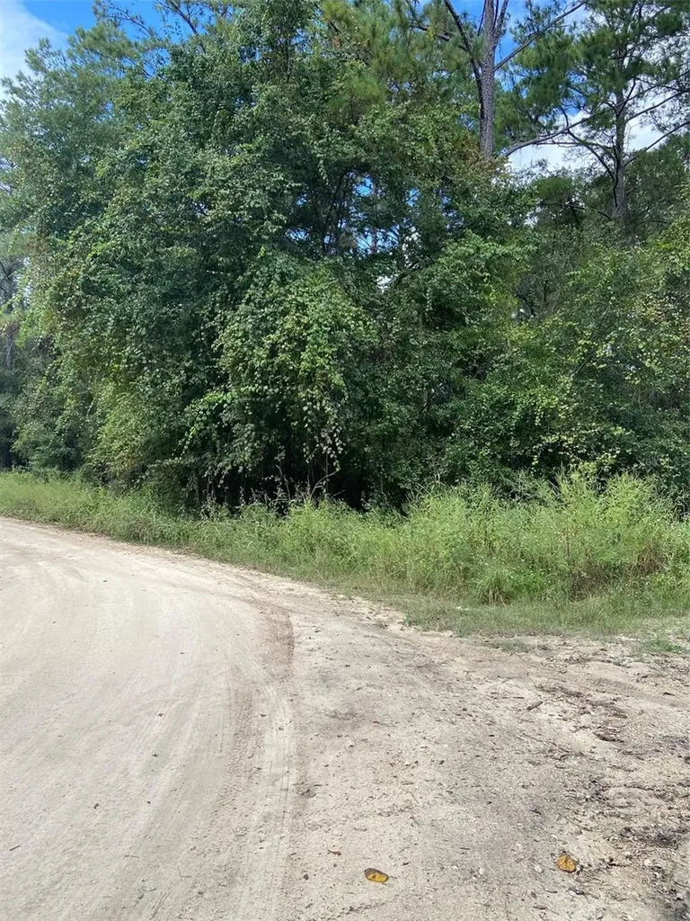 0 SW 8th Place SW Ocala FL 34481