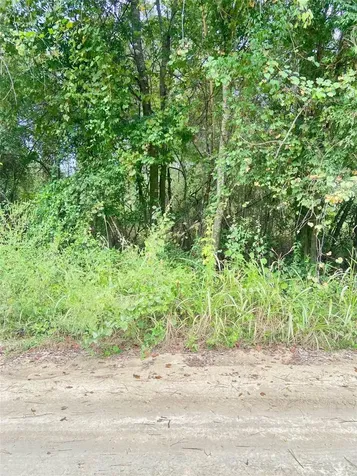 0 SW 8th Place SW Ocala FL 34481