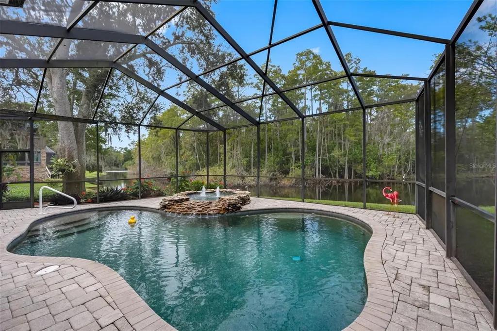3126 Harvest Moon Drive Palm Harbor FL 34683