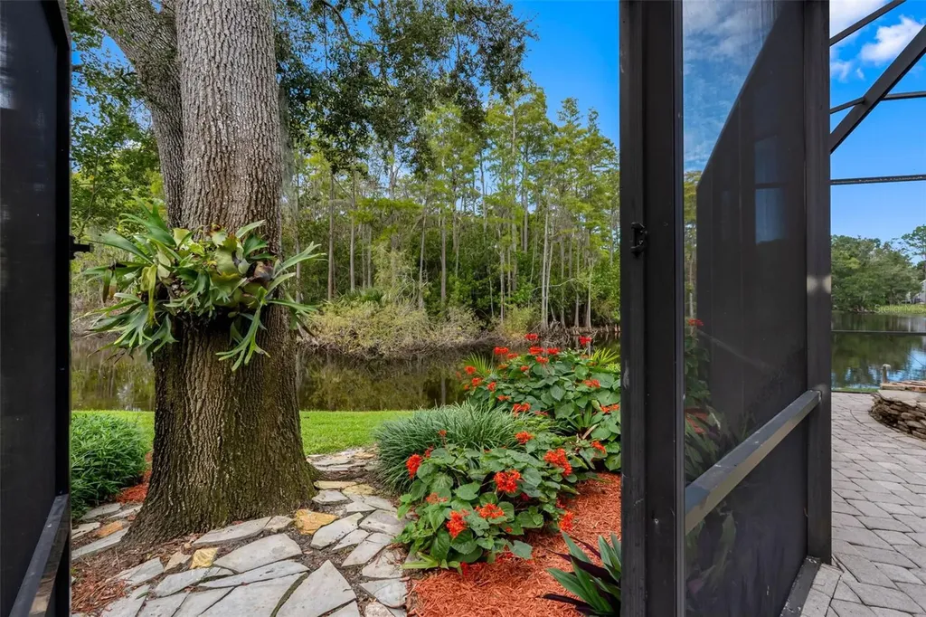 3126 Harvest Moon Drive Palm Harbor FL 34683