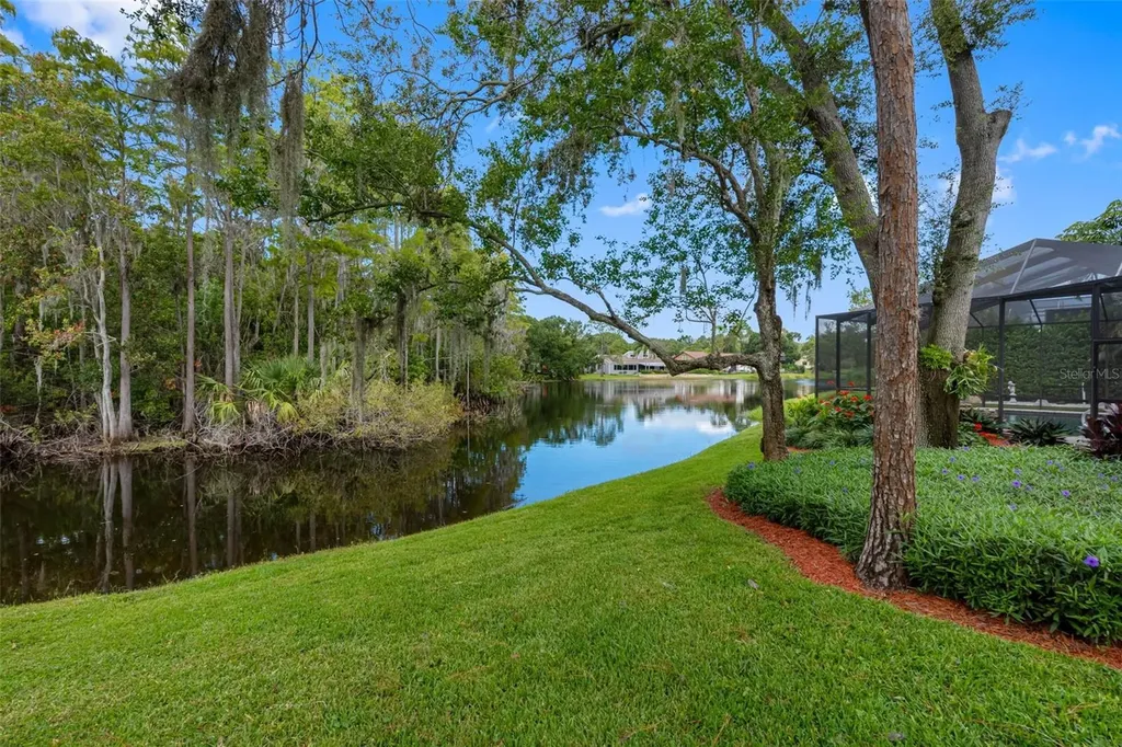 3126 Harvest Moon Drive Palm Harbor FL 34683