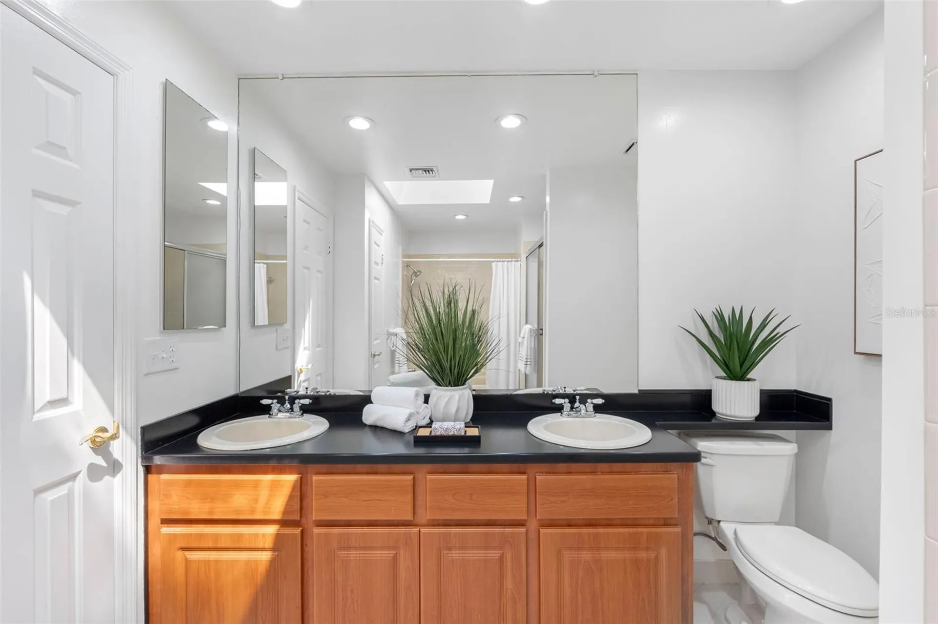 3126 Harvest Moon Drive Palm Harbor FL 34683