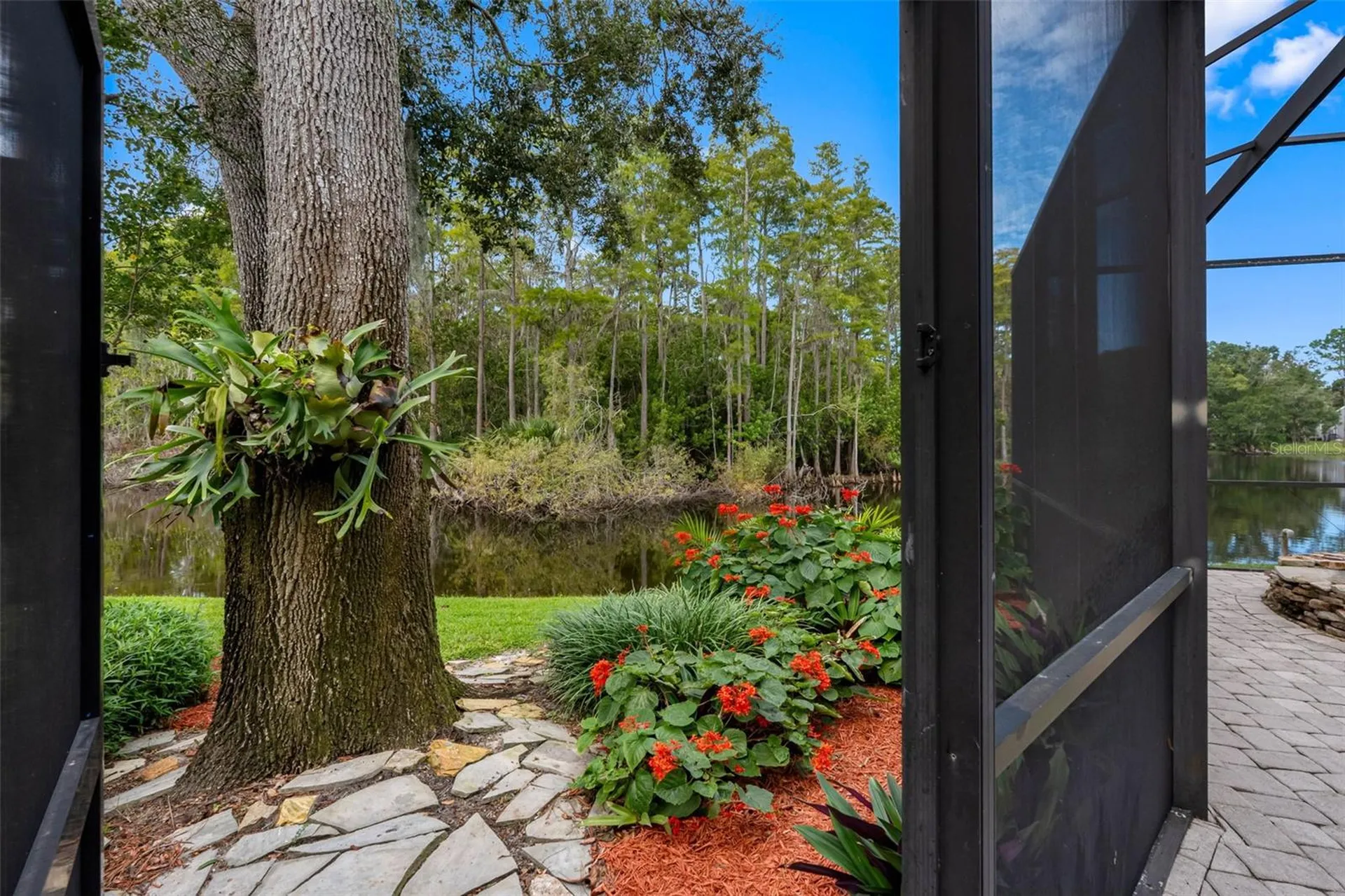 3126 Harvest Moon Drive Palm Harbor FL 34683
