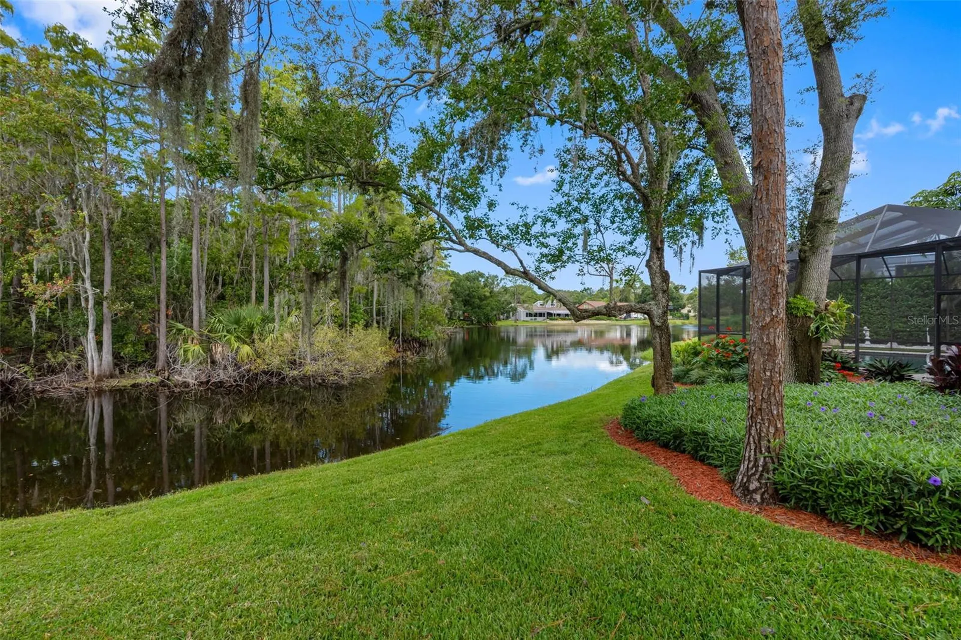 3126 Harvest Moon Drive Palm Harbor FL 34683