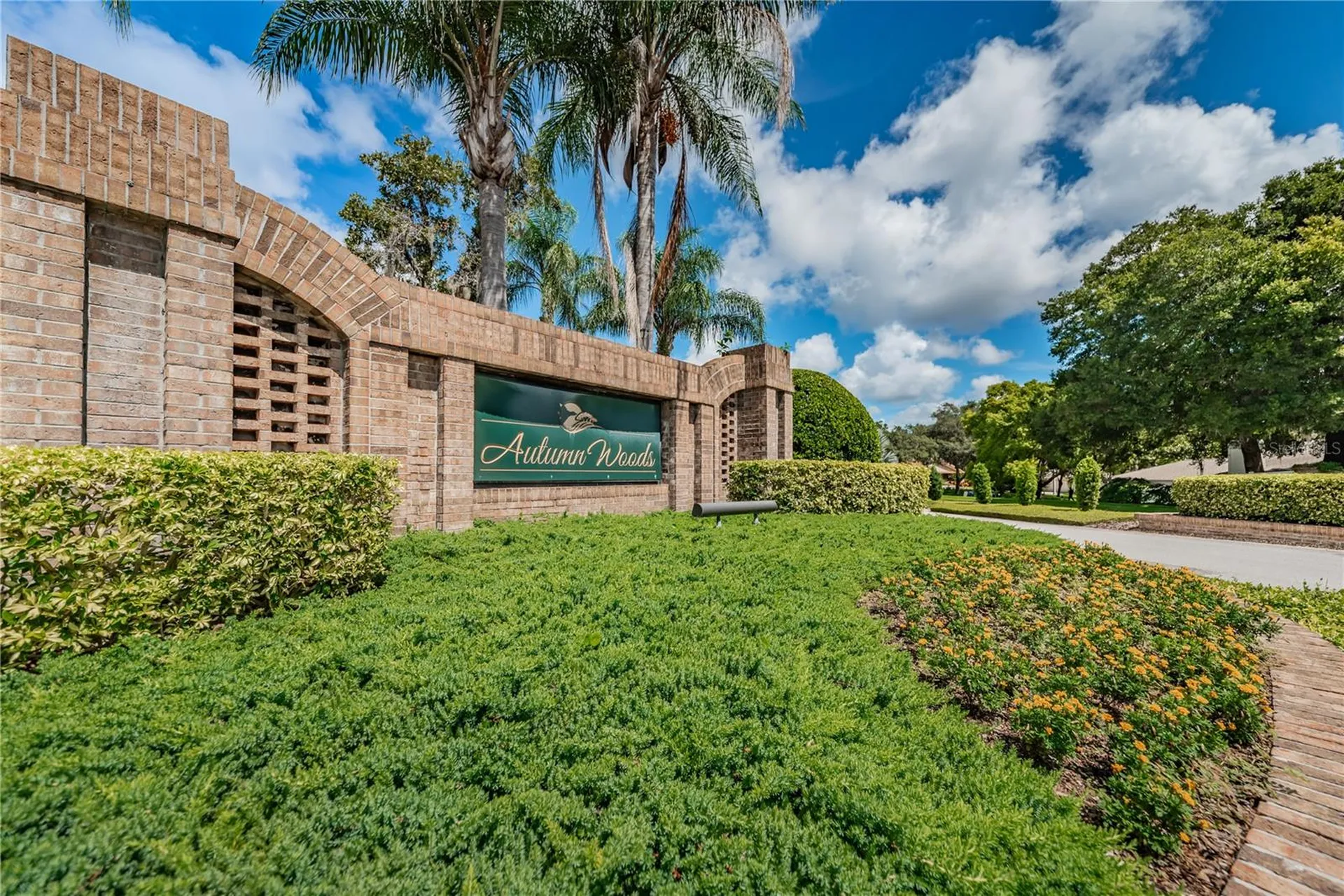 3126 Harvest Moon Drive Palm Harbor FL 34683