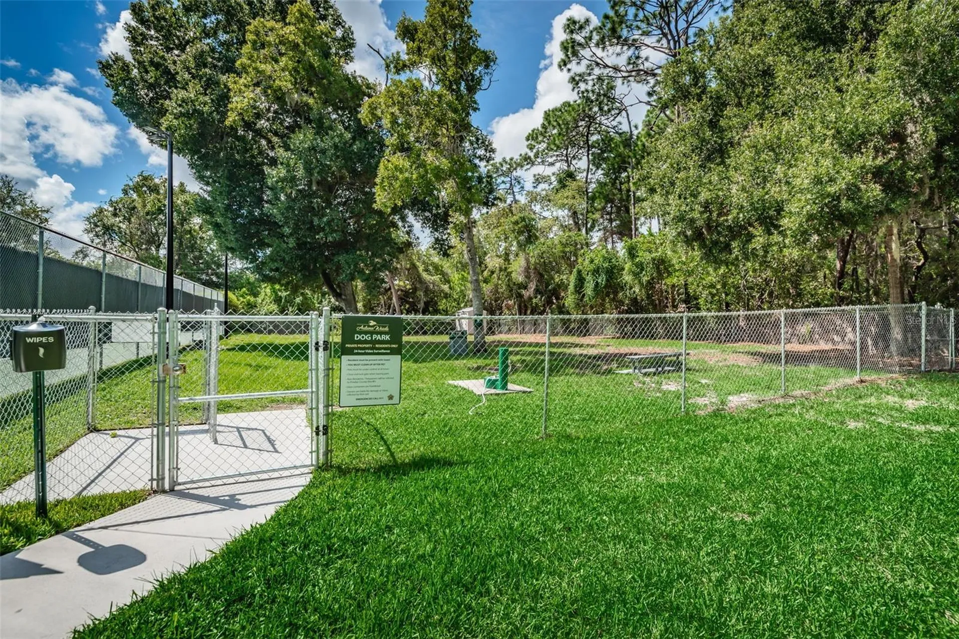3126 Harvest Moon Drive Palm Harbor FL 34683