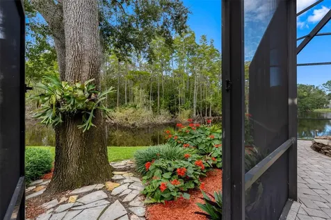 3126 Harvest Moon Drive Palm Harbor FL 34683