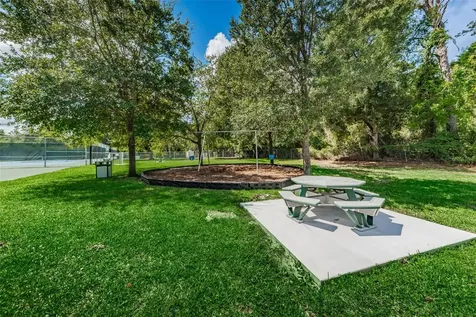 3126 Harvest Moon Drive Palm Harbor FL 34683