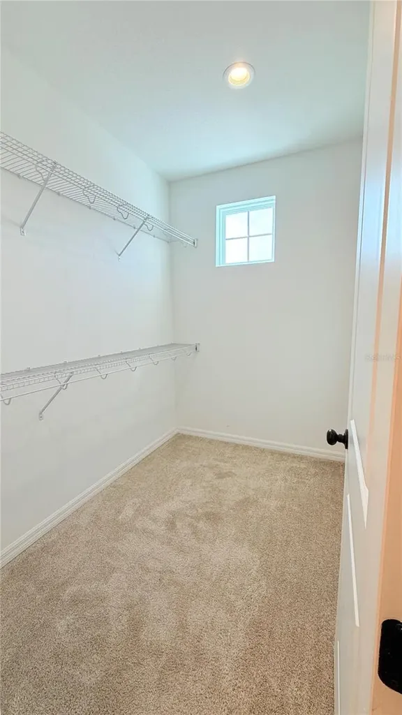 4623 Reisswood Loop Palmetto FL 34221