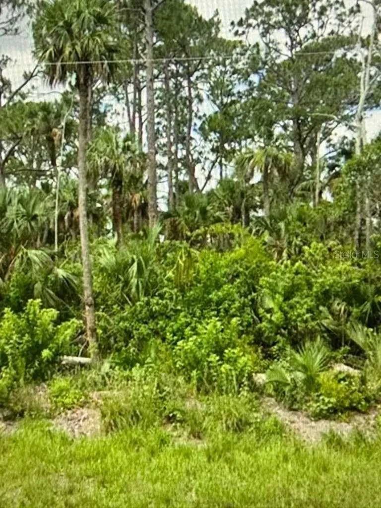625 Greenbriar Boulevard Lehigh Acres FL 33972