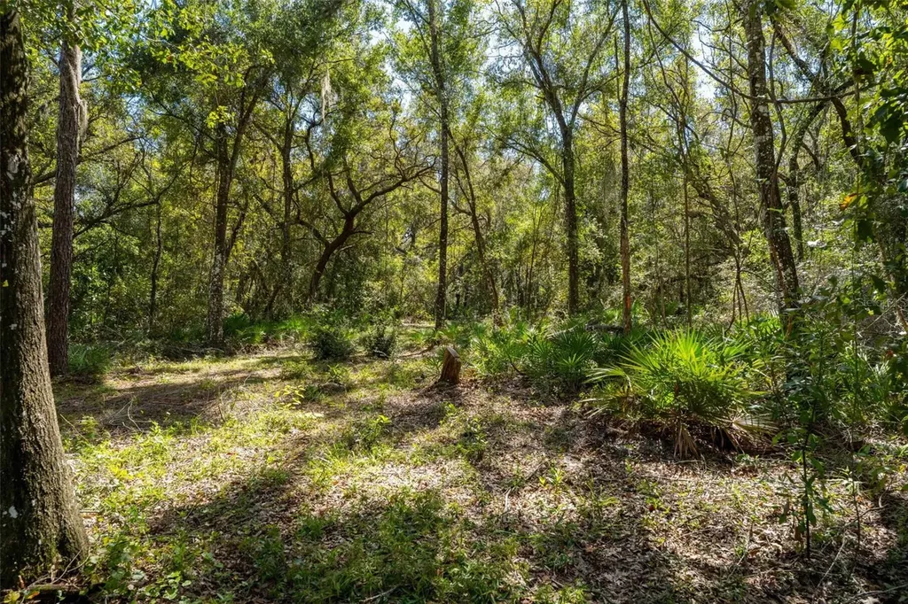 11420 E Steamboat Drive Floral City FL 34436