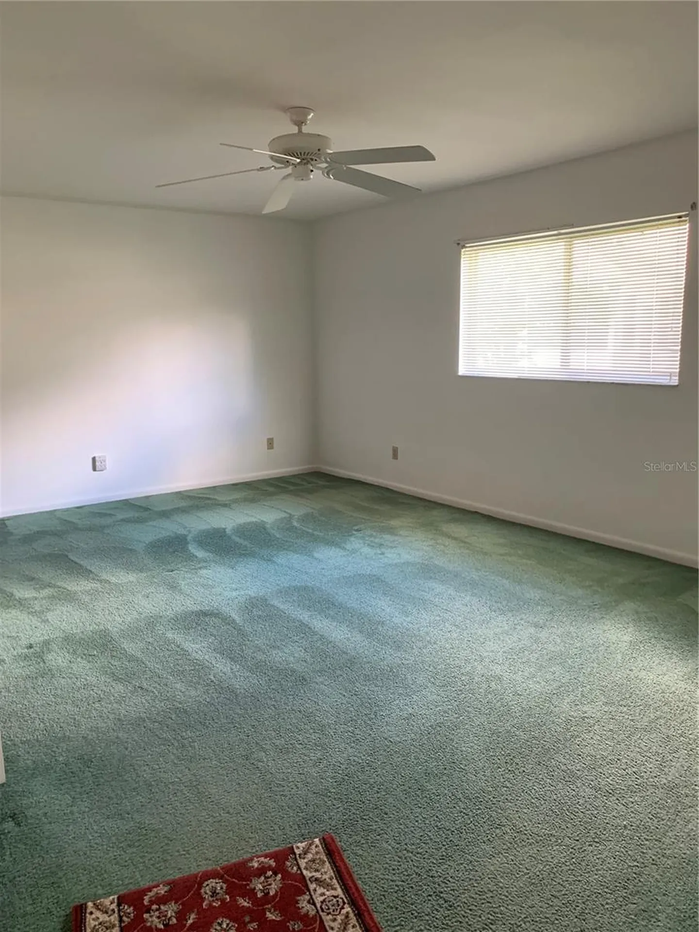 8981 SW 95th Street Ocala FL 34481