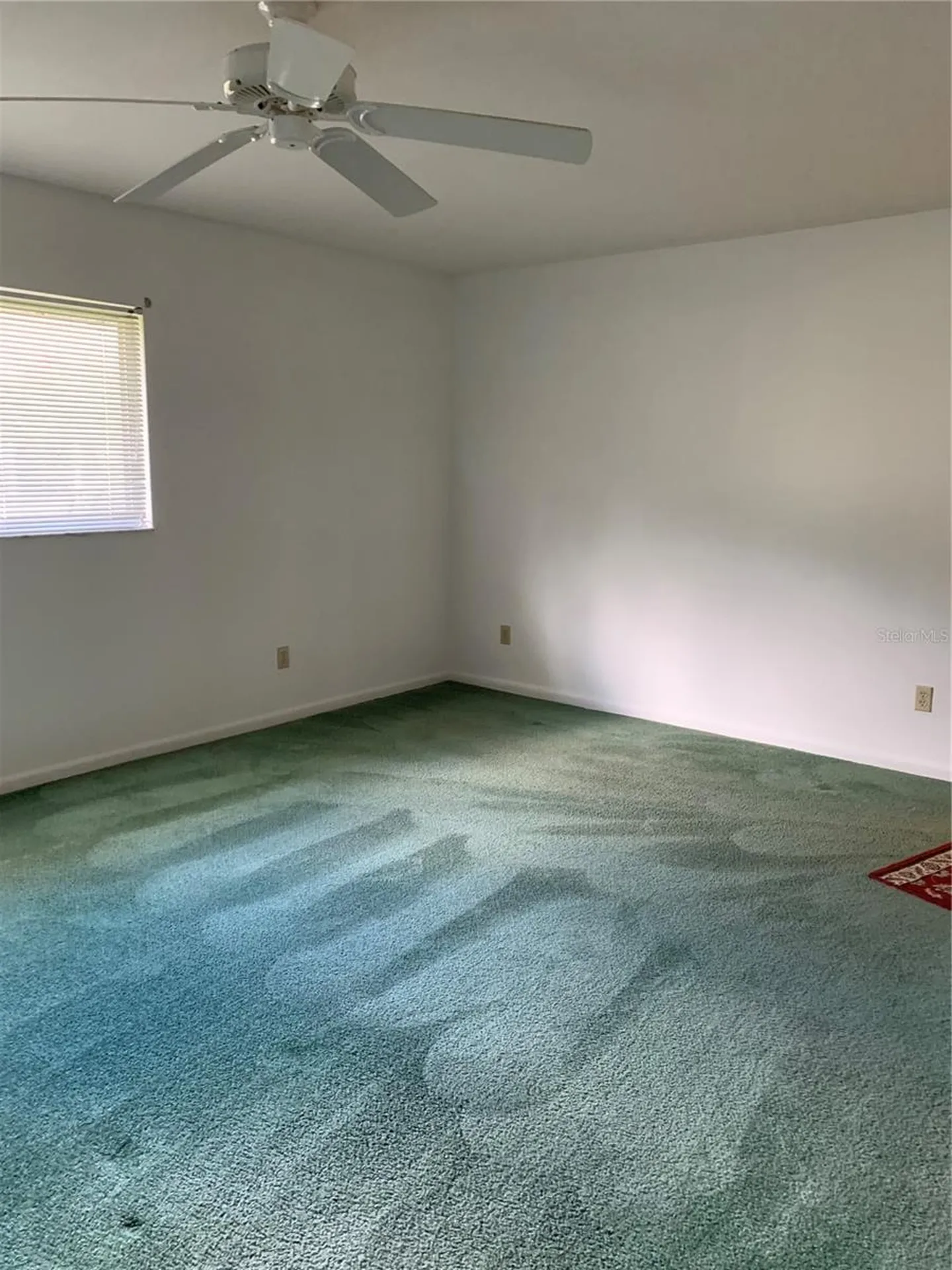 8981 SW 95th Street Ocala FL 34481