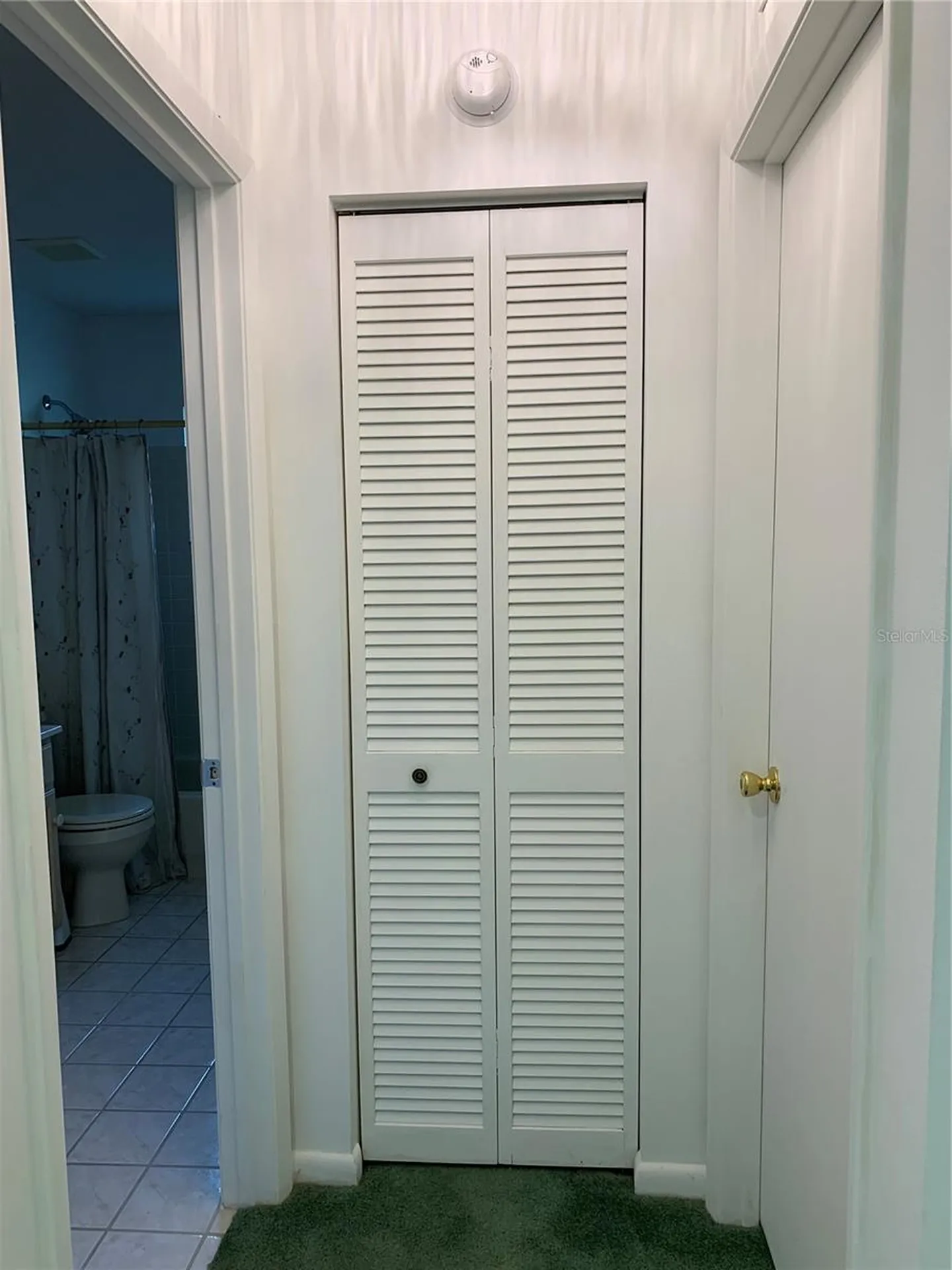 8981 SW 95th Street Ocala FL 34481