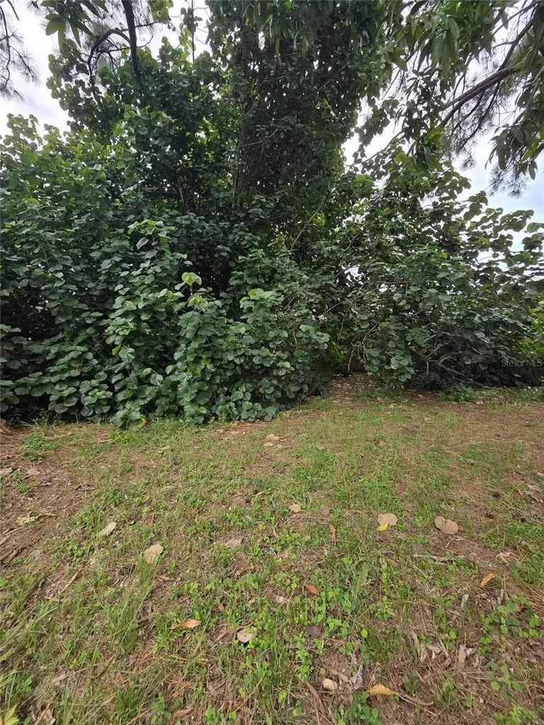 5380 77th Avenue N Pinellas Park FL 33781