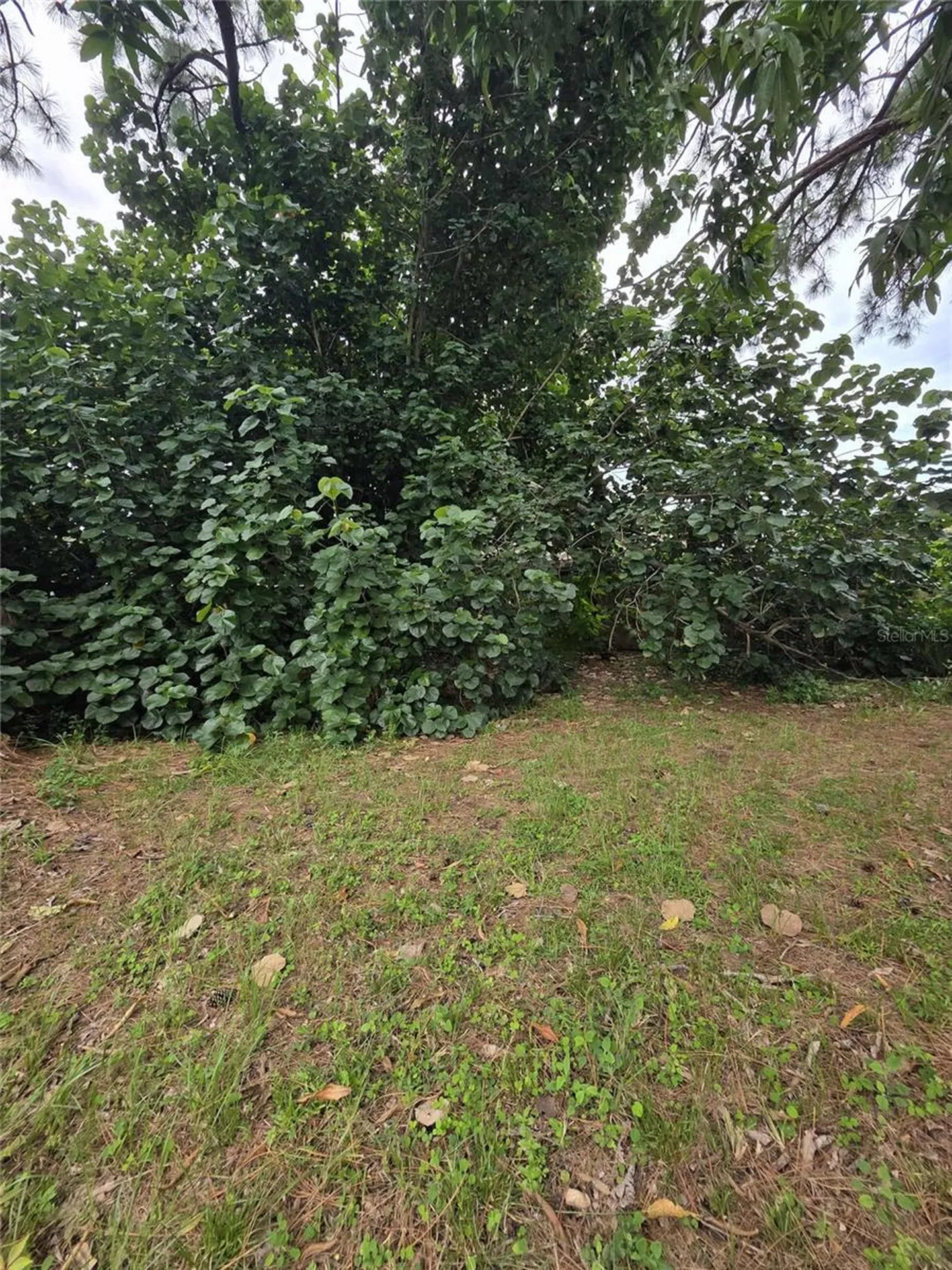 5380 77th Avenue N Pinellas Park FL 33781