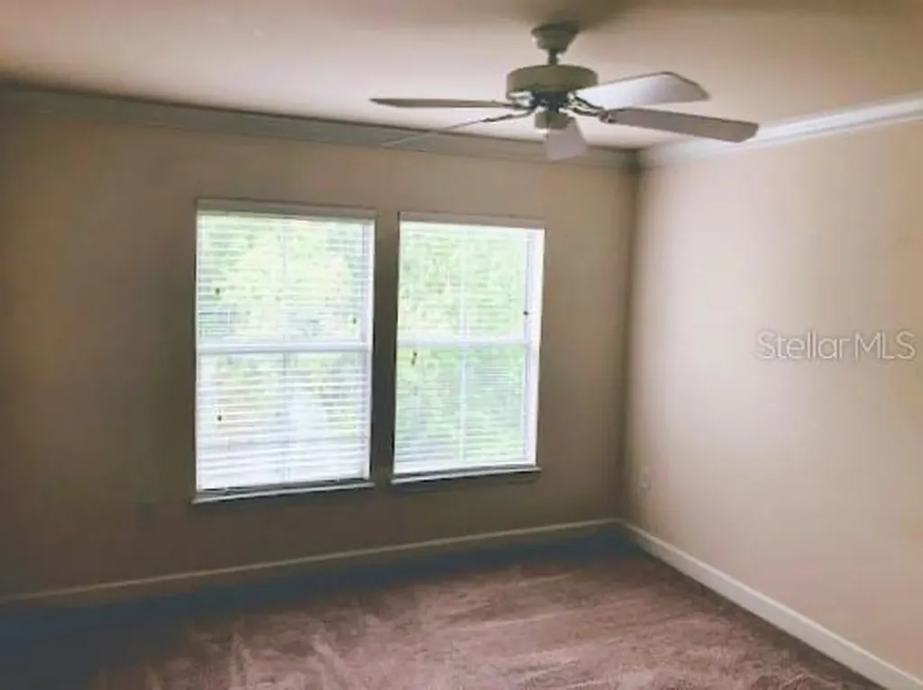 18193 Bridle Club Drive Tampa FL 33647