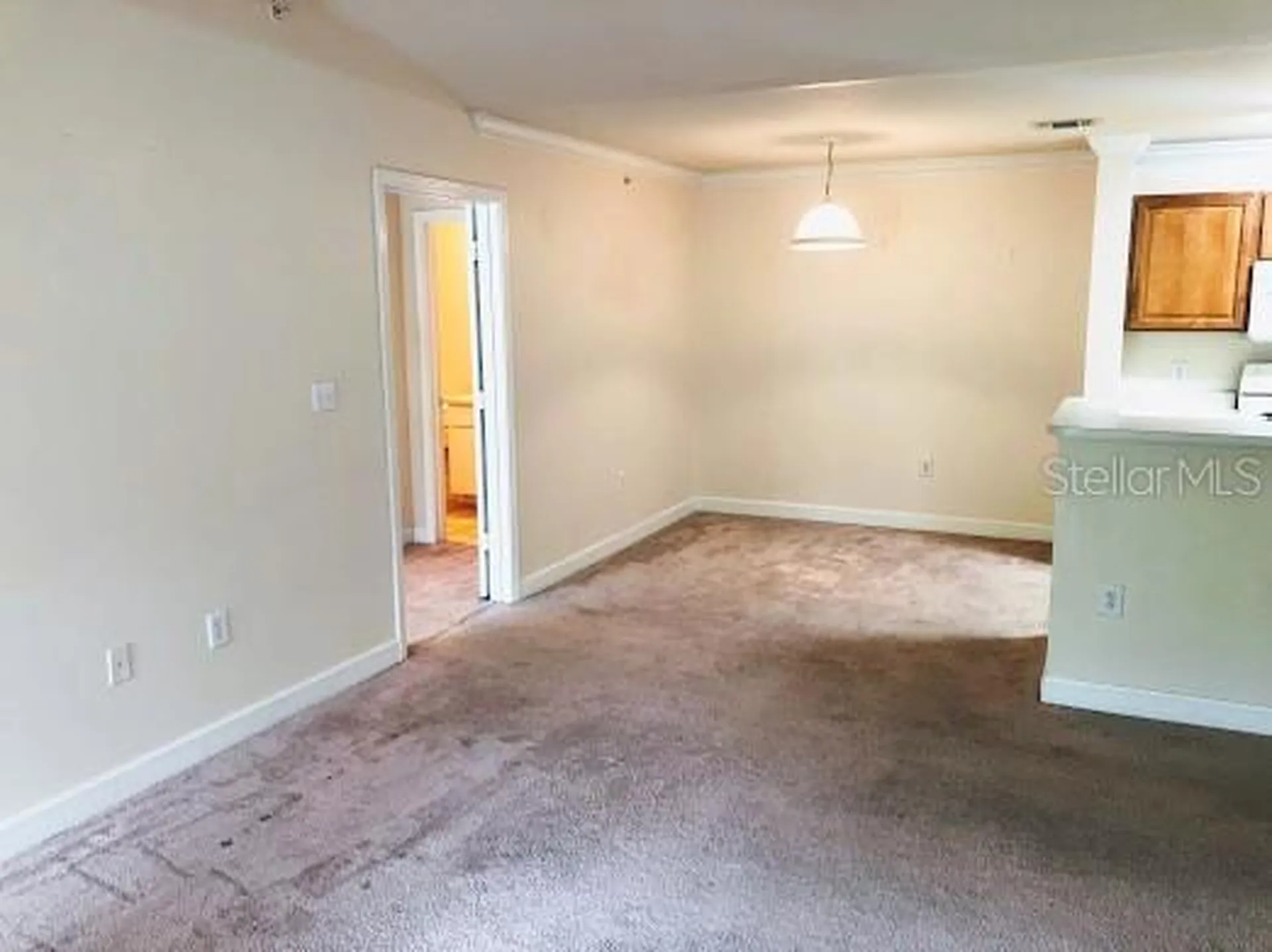 18193 Bridle Club Drive Tampa FL 33647