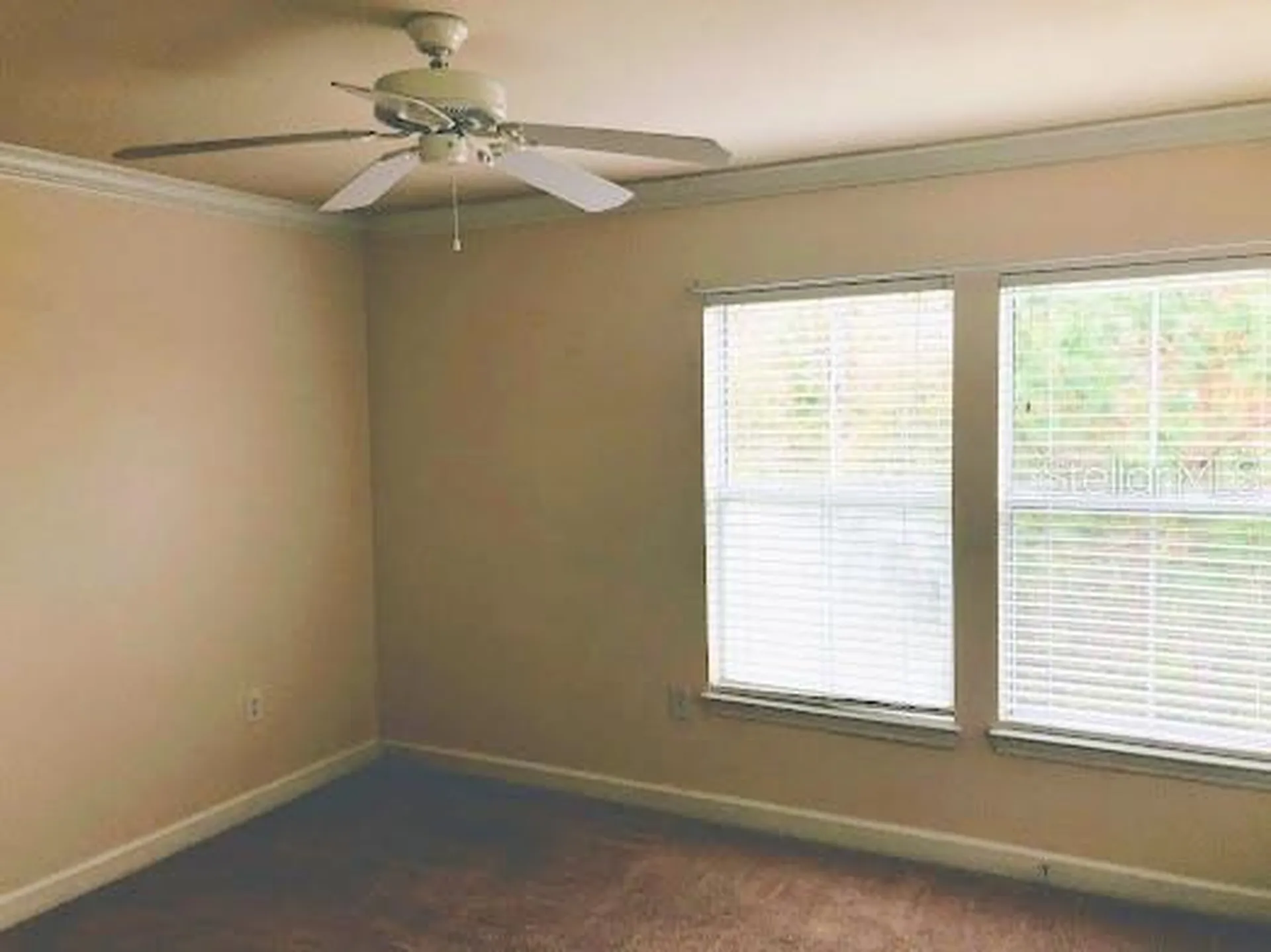 18193 Bridle Club Drive Tampa FL 33647