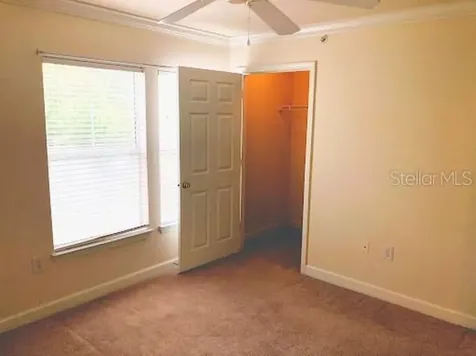 18193 Bridle Club Drive Tampa FL 33647