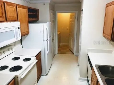 18193 Bridle Club Drive Tampa FL 33647