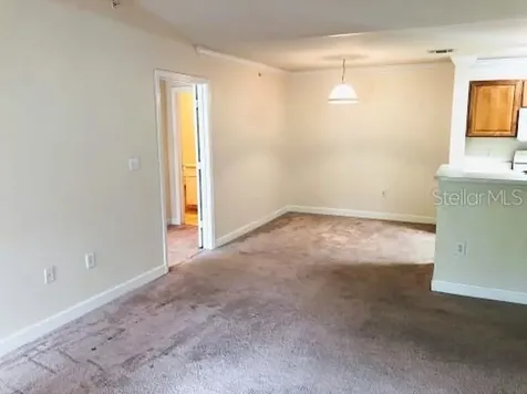 18193 Bridle Club Drive Tampa FL 33647