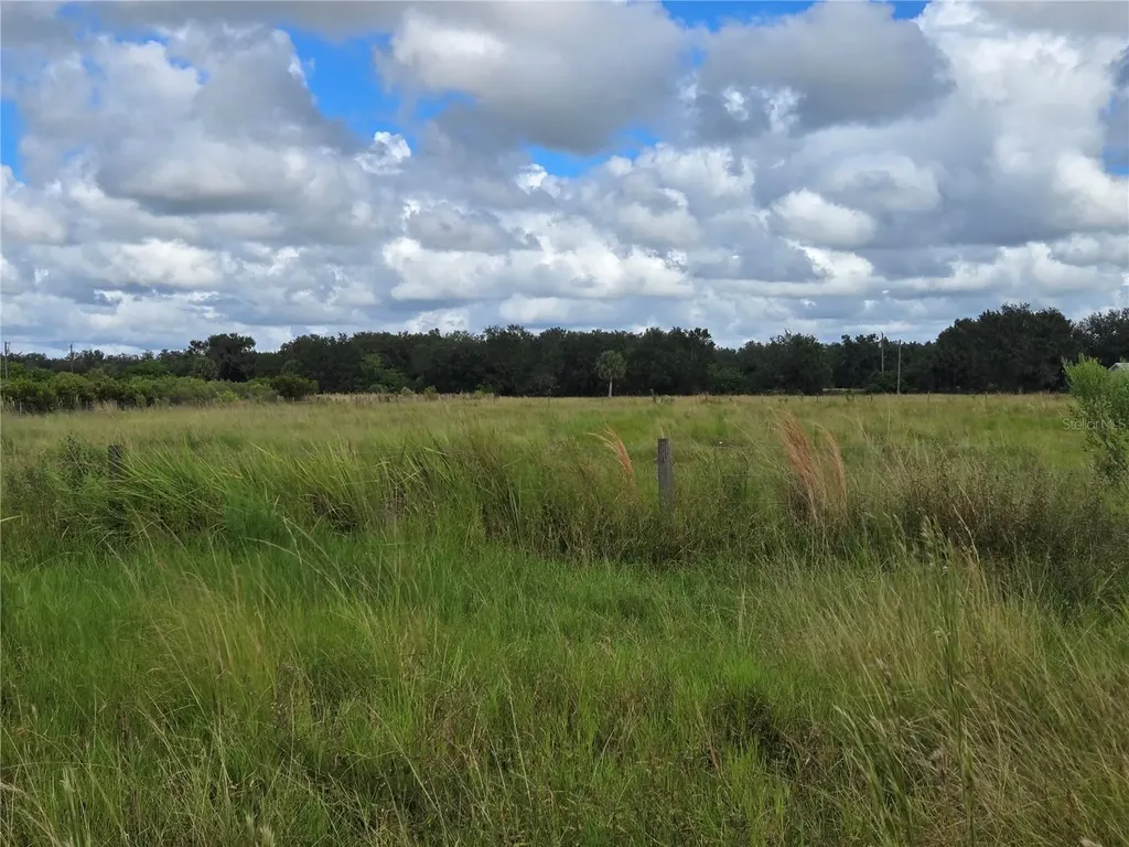 SE Piggy Back Road Arcadia FL 34266