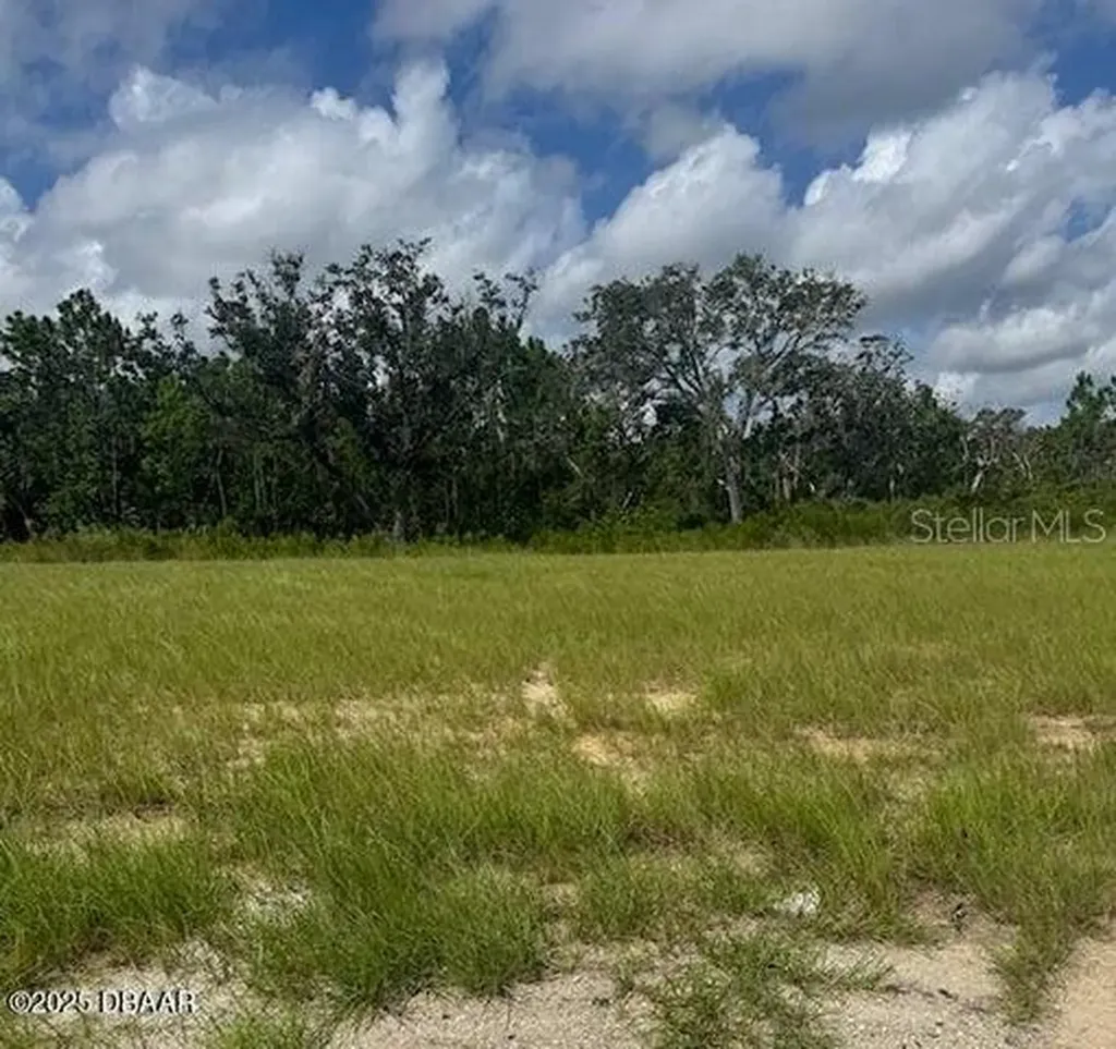 93 Coronado Road Flagler Beach FL 32136