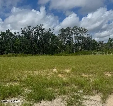93 Coronado Road Flagler Beach FL 32136